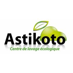 logo astikoto